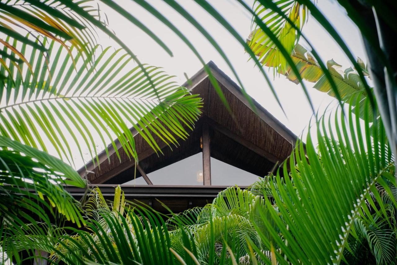 Lua Villas Playa Santa Teresa  Ngoại thất bức ảnh